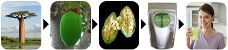Baomix la pulpe de fruit de Baobab bio