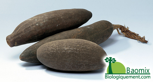 Fruit du Baobab Baomix biologique antioxydant
