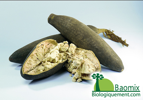 Fruit du baobab ouvert