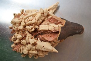 Le fruit du baobab bio ouvert, laissant apparaître la pulpe et les graines
