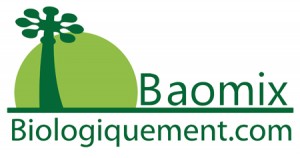 Baomix la poudre de pulpe de fruit de baobab biologique certifiée Ecocert